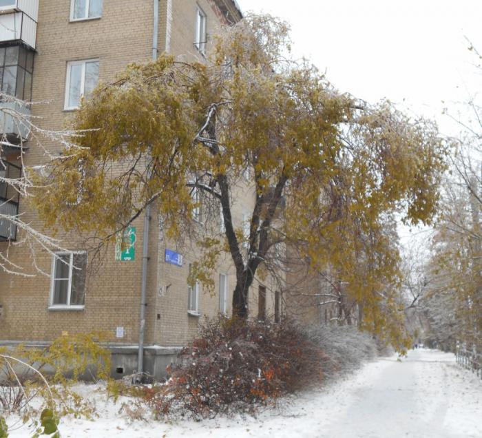  Ледяной дождь в Челябинске (13 фото) 