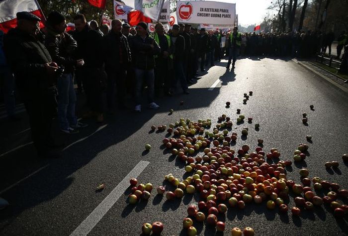 Фермеры Европы протестуют против санкций (10 фото)