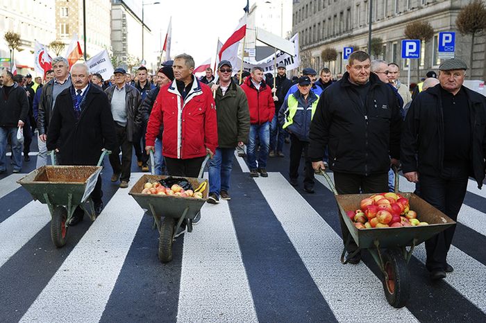 Фермеры Европы протестуют против санкций (10 фото)