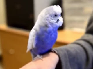 ������� R2D2