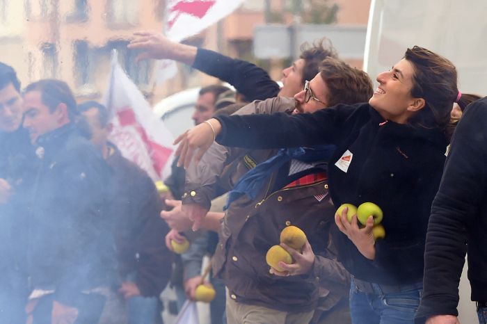День протеста французских фермеров (25 фото)