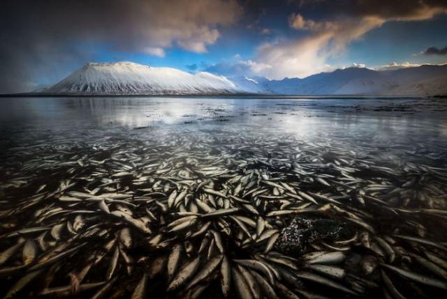 Восхитительные снимки ледяной пещеры в Исландии (19 фото)