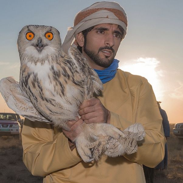 Фото из инстаграм 32-летнего принца Дубая (43 фото)