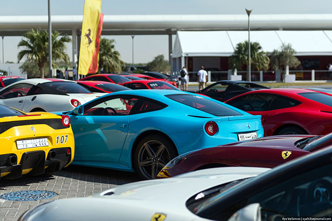 Как прошло соревнование Феррари Челлендж в Абу-Даби (43 фото)
