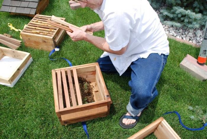 Случайно обнаружив рой, мужчина занялся пчеловодством (13 фото) 