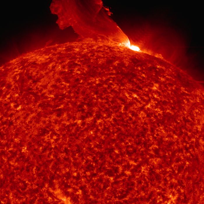 Фотографии солнца от NASA (8 фото)