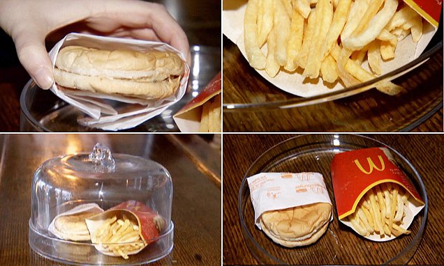 Шестилетний бургер и картофель фри из McDonald's (5 фото)