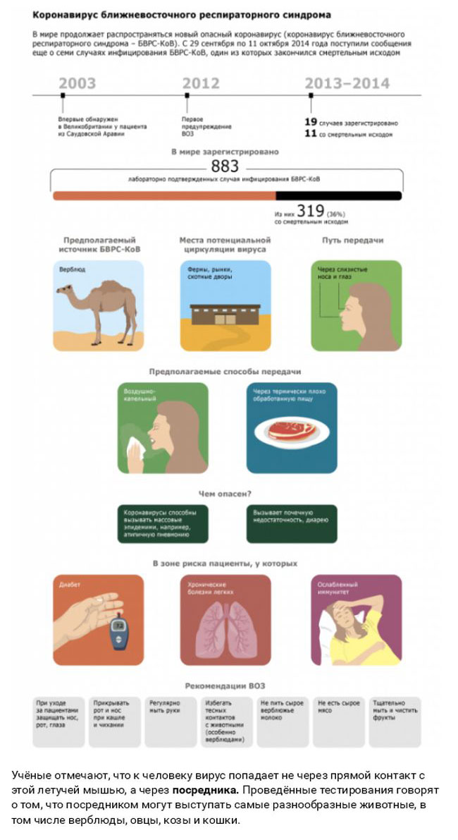 Смертельные заболевания от животных (27 фото)