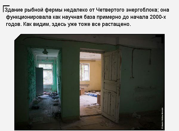 Мародёрство в зоне отчуждения Чернобыльской АЭС (40 фото)