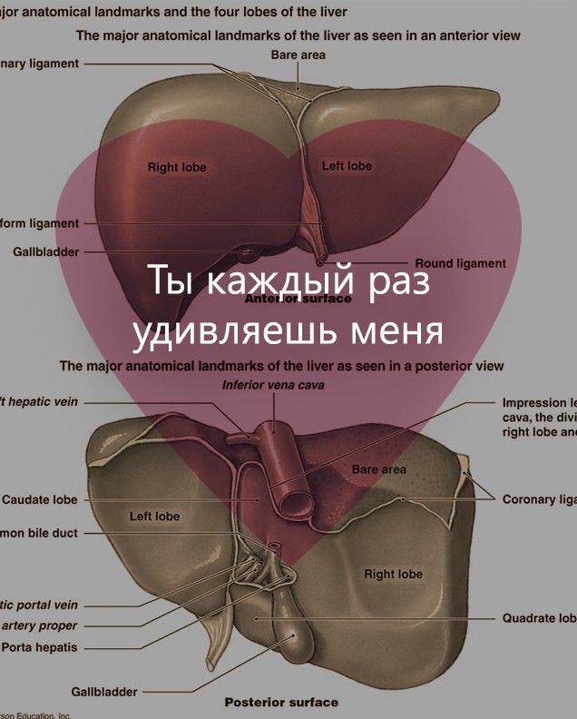 День святого Валентина в анатомических открытках (8 фото)