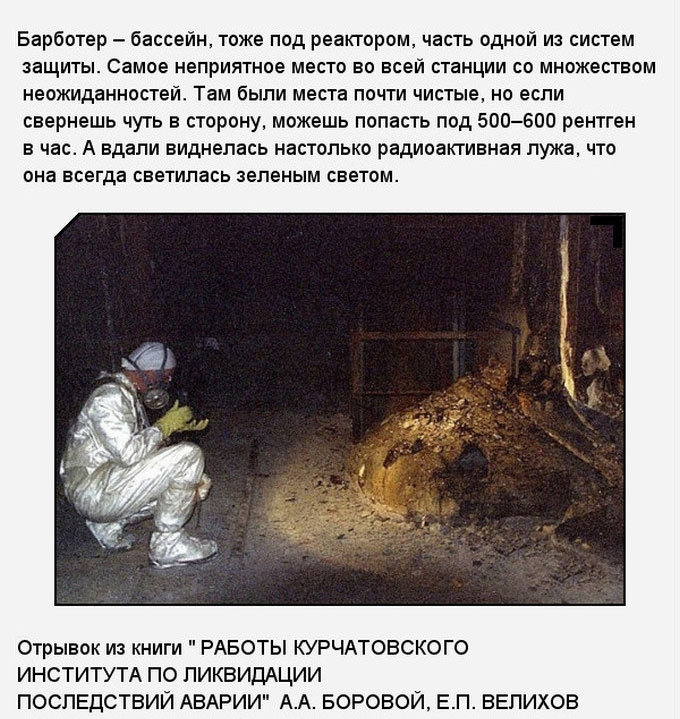 «Слоновья нога» в зоне отчуждения Чернобыльской АЭС (11 фото)
