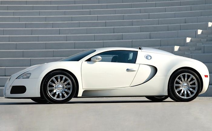     Bugatti Veyron (28 )
