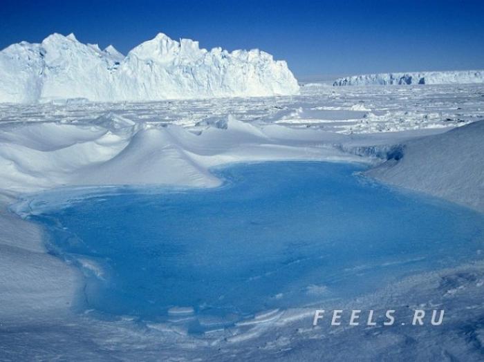 Антарктика, южная полярная область Земли (15 фото)
