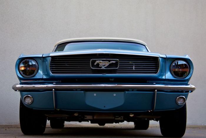       Mustang (11 )