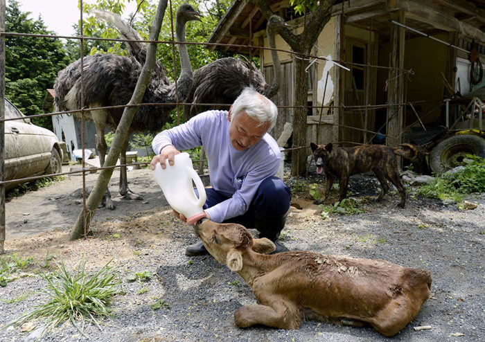 55-летний японец вернулся в радиоактивную зону Фукусимы (16 фото)