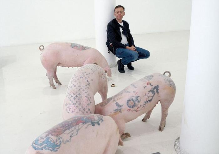 Татуированные свиньи - весьма прибыльный бизнес (10 фото)