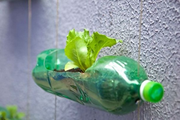 Гениальные креативные творения из пластиковых бутылок (25 фото)