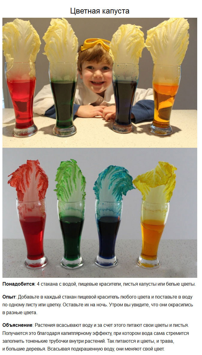 7 простых химических опытов, которые стоит показать детям | Наумаг