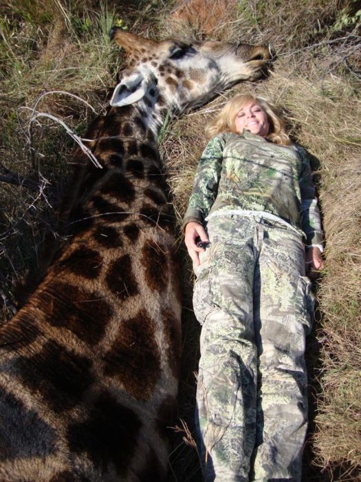 Зоозащитники осудили американку, убившую жирафа (14 фото)