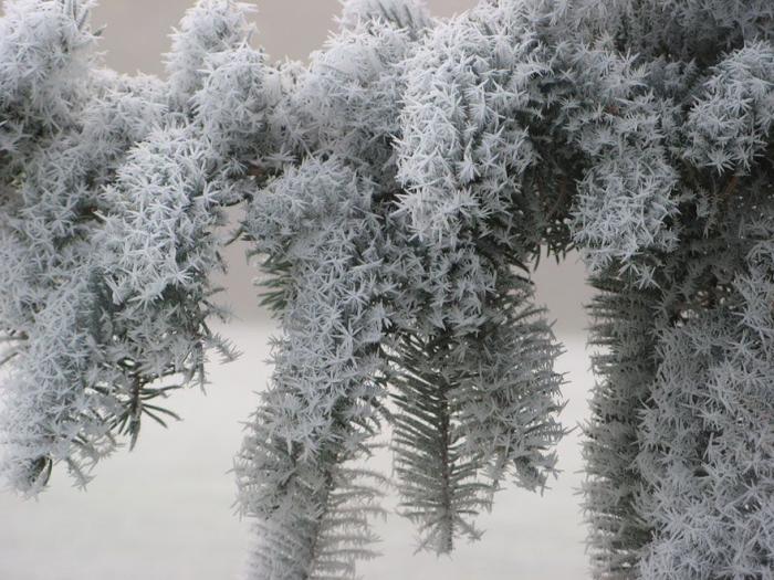 25 потрясающих ледяных скульптур, созданные самой природой (33 фото)