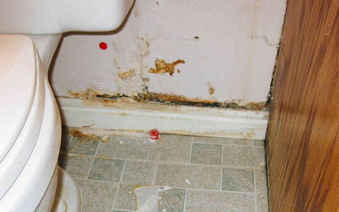Самые грязные места вашего дома (9 фото)