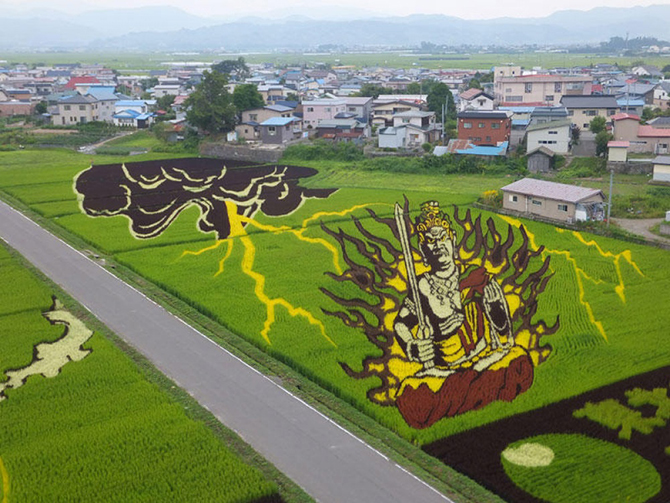 Рисовые поля в Японии (17 фото)
