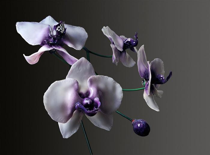 Гигантские орхидеи из стекла (16 фото)