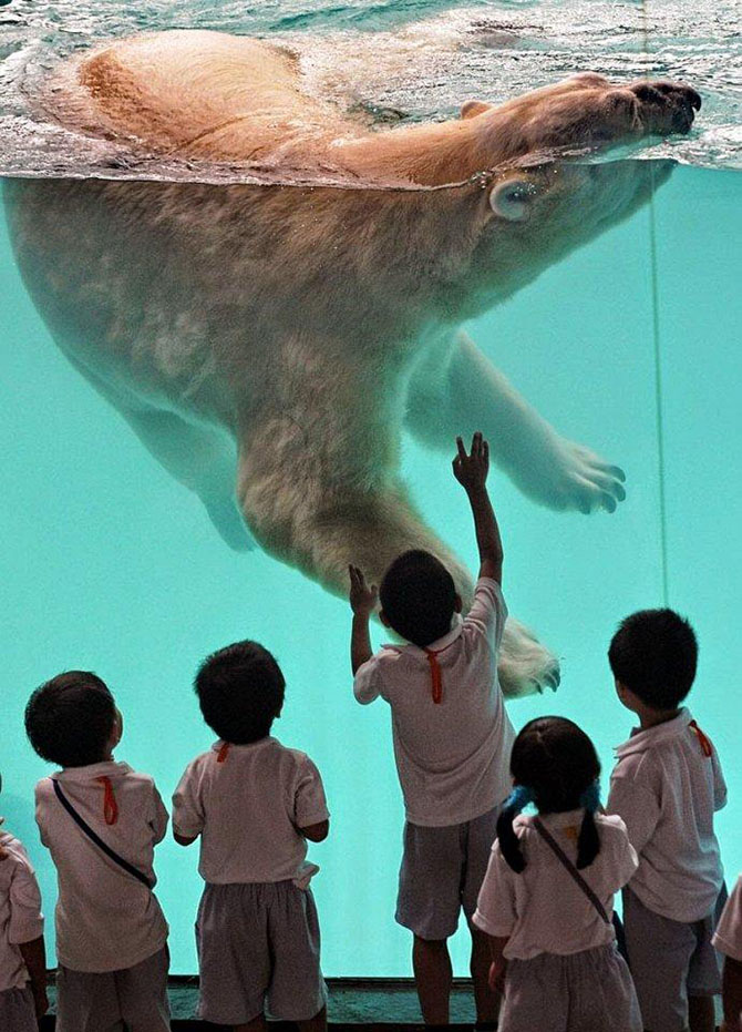 Лучшие зоопарки мира (10 фото)