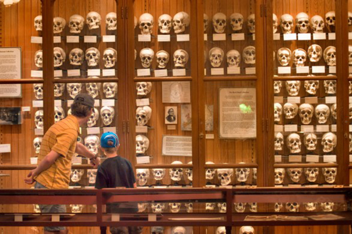 25 самых странных музеев со всего мира (21 фото)