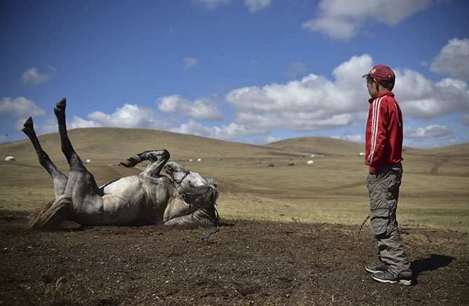 Один день из жизни монгольского подростка-жокея (11 фото)