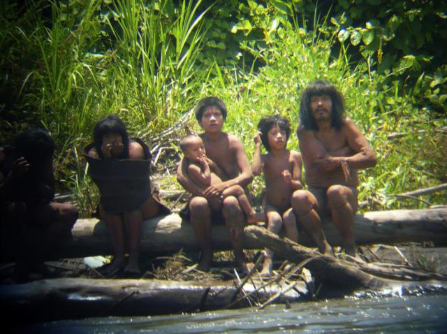 Неконтактные индейцы Амазонии (15 фото)