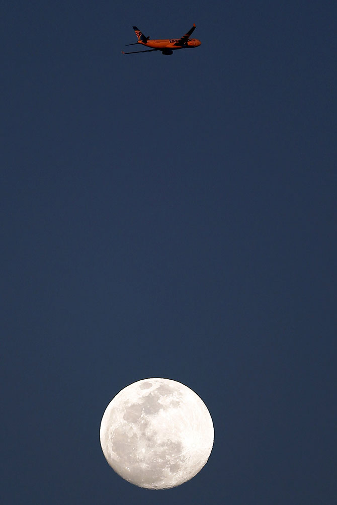 Голубая Луна (24 фото)