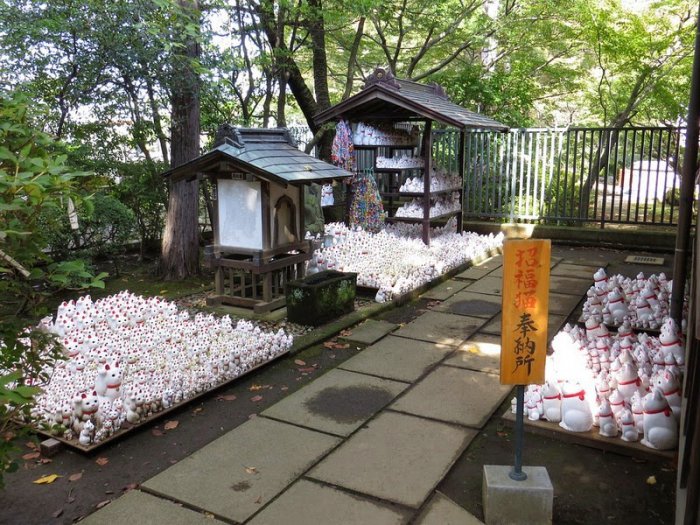 Готоку-дзи – храм манящих котов (10 фото)