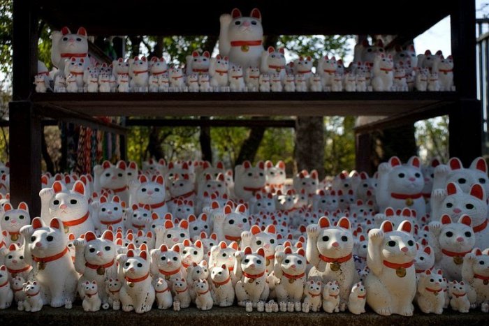 Готоку-дзи – храм манящих котов (10 фото)
