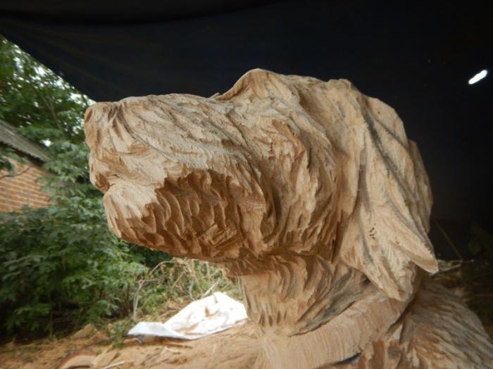 Портрет собаки из дерева - бензопилой (26 фото)