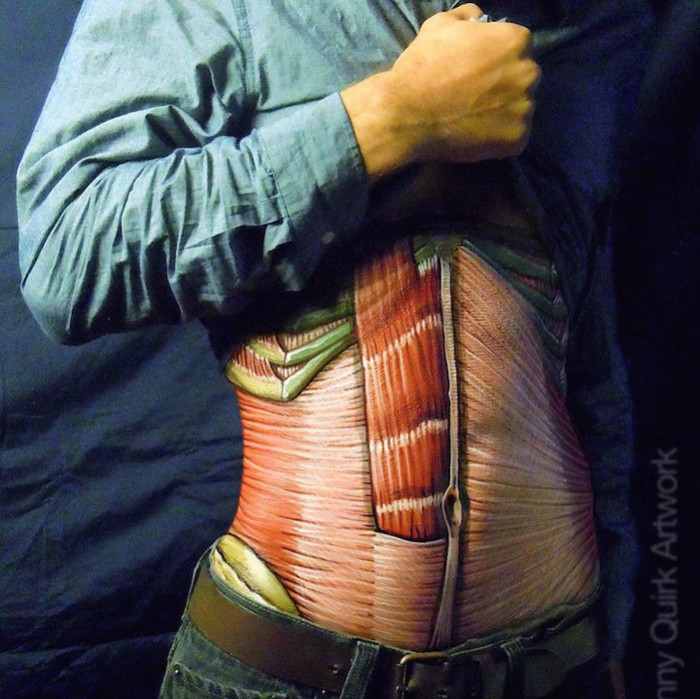 Внутренности напоказ: отличный подход к иллюстрациям по анатомии (9 фото)