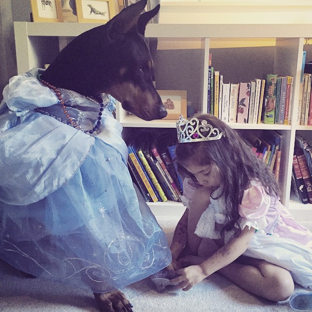 Удивительная дружба крошечной девочки с гигантским доберманом (24 фото)