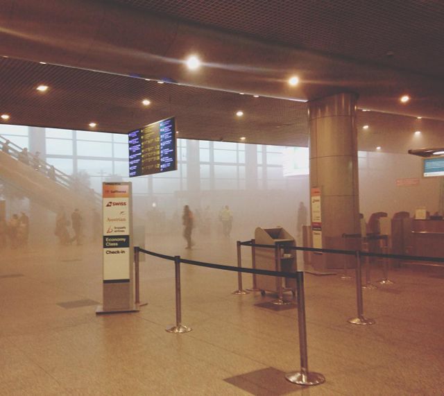 Из «Домодедово» эвакуировали пассажиров и приостановили вылеты (10 фото)