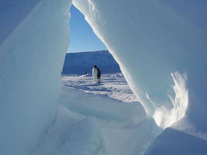 Антарктида (27 фото)