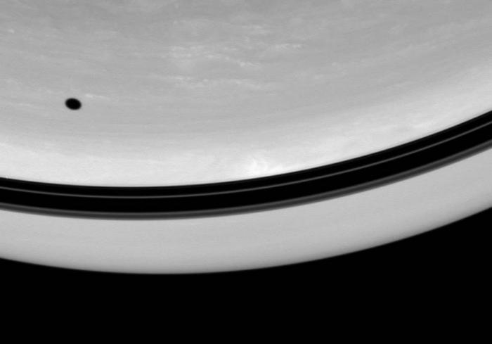    Cassini (24 )