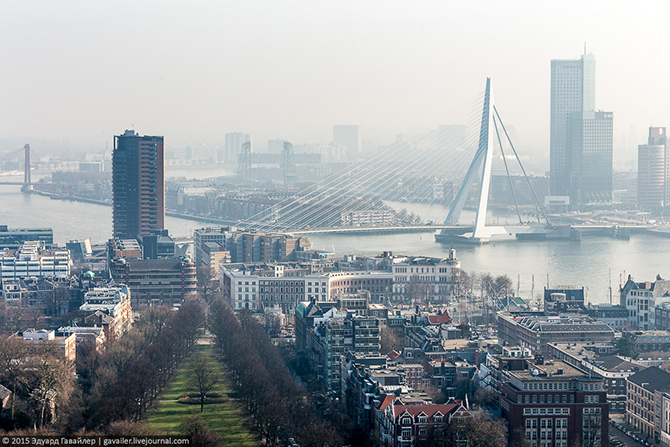Роттердам – порт и архитектура (35 фото)