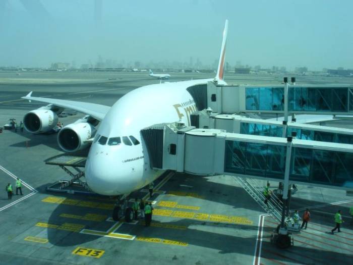 Самолет в Эмираты (41 фото)