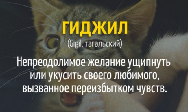 Слова которых нет в русском языке (22 фото) 