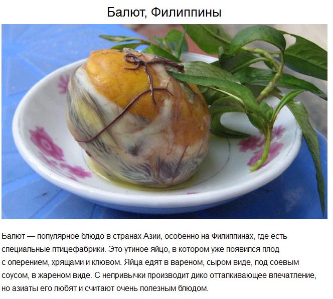 Национальные блюда различных народов, с странным вкусом (14 фото)