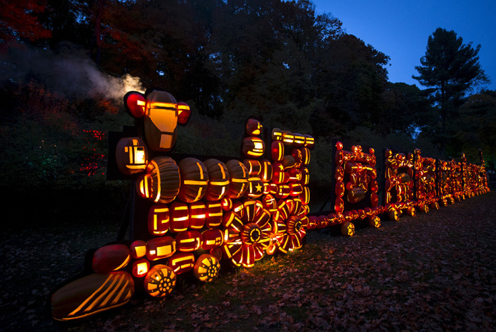  Great Jack O' Lantern Blaze (17 )