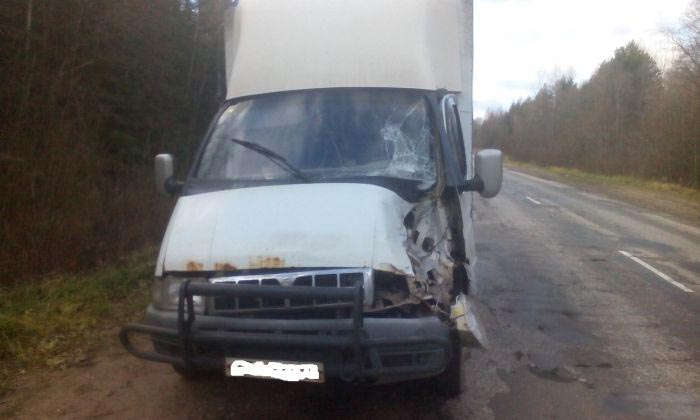 Последствия столкновения с запаской грузовика ( 2 фото)