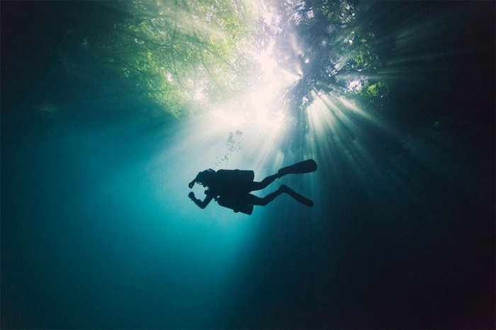 Подводная красота фотографий Энрика Адриана Генера (12 фото)