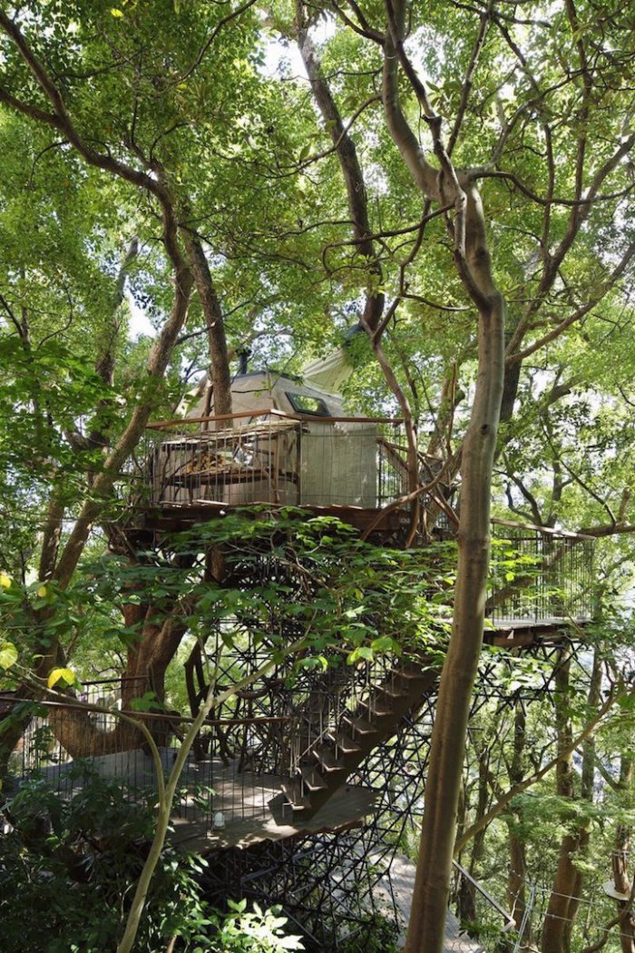 Жилой дом на дереве: особенности планирования и строительства - Статья - Журнал - FORUMHOUSE