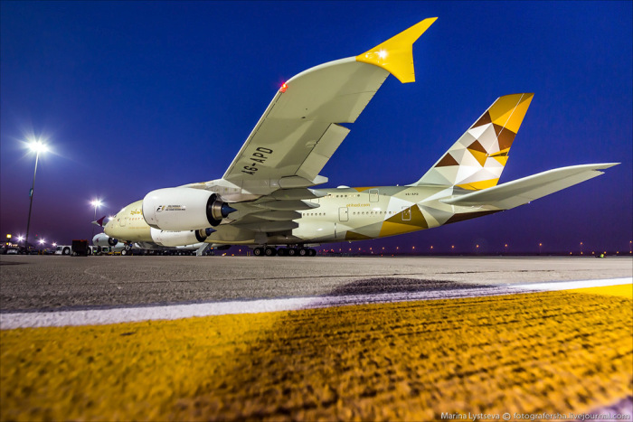 Вот  они самые роскошные  самолеты летающие в Дубаи (39 фото)