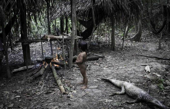 Жизнь исчезающего кочевого племени Ава (15 фото)